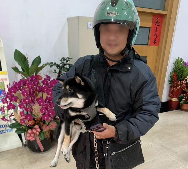 新北市中和日前11时许，有热心民眾带着一只黑色柴犬至中和警备队，称狗狗走失了需要协助，狗狗重返主人的怀抱。（图／警方提供）