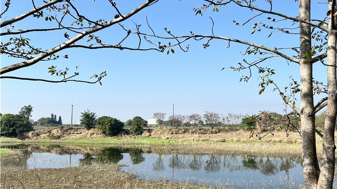 农水署斥资7000万整治白河林初埤，避开木棉花季施工。（张毓翎摄）