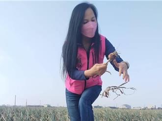 防賊提前「採收」！彰化警民合作成立漂鳥隘勇隊 千人參與