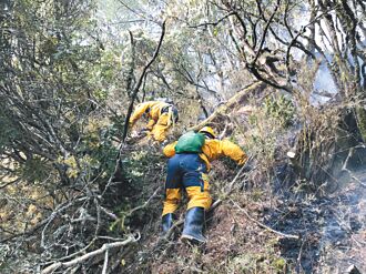 全台1078巡山員 1人負責58座大安森林公園