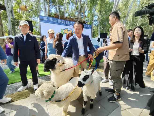 嘉义县长翁章梁今天到羊角艺术村，体验与羊咩咩互动，欢呼「好疗癒」。（廖素慧摄）