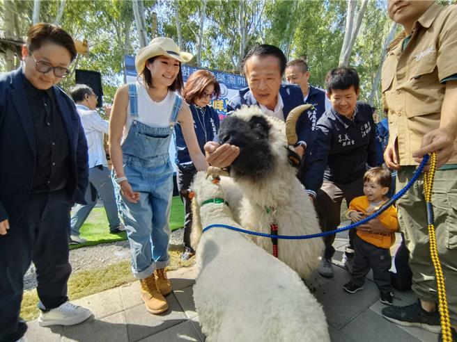 叶欣寧带萌宠羊进场，全场欢呼「太可爱了」。（廖素慧摄）