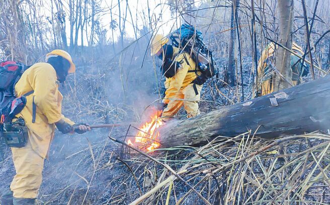 台中市梨山地區大甲溪事業區第66林班地，16日深夜傳出森林火警，台中市消防局、林業保育署台中分署17日清晨5點多兵分3路搶救，共延燒11公頃；在火勢完全撲滅後，將由火災鑑識人員進行起火原因調查。（林業保育署台中分署提供／張妍溱台中傳真）