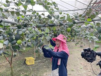 行銷高雄農產品 日本購物頻道來台取經