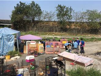 雲林狗場不當飼養犬貓消瘦病弱 134隻毛小孩公告認養
