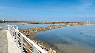 台南 扇鹽地景園區開放 暢遊生命之樹