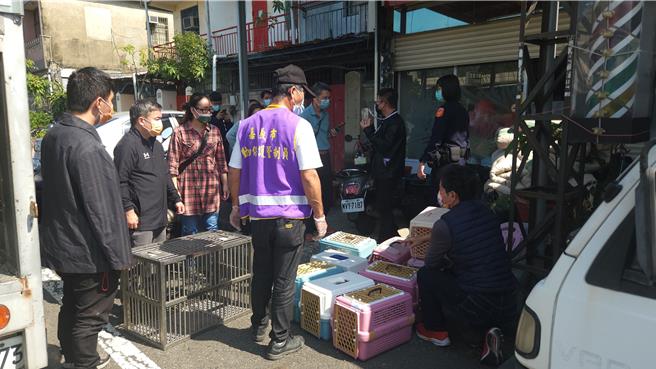 现场发现的14只猫狗，已全数带回动保园区紧急安置，并请兽医师检视动物健康状态。（嘉义市政府提供／吕妍庭嘉义传真）
