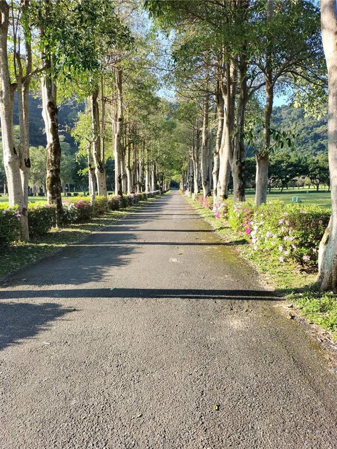 有人提出应保存原始林样貌作自然生态旅游。（宜兰县政府提供／吴佩蓉宜兰传真）