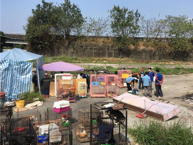 雲林縣政府動植物防疫所接獲檢舉，林內鄉私人狗場涉嫌不當飼養及虐待，本月16日突襲稽查，共發現犬貓134隻，其飼養環境髒亂，部分犬貓消瘦病弱，19日依《動物保護法》相關規定裁處。（雲林縣政府提供／張朝欣雲林傳真）