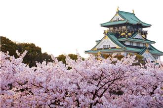 連假出國玩！清明連休東北亞賞櫻趣  五一勞工節暢玩韓國16,888元起