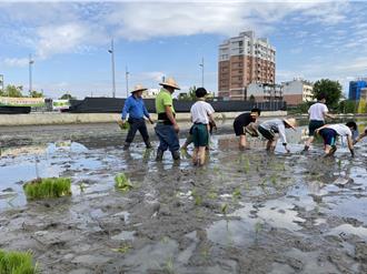 捲起褲管下田去 大里農會食農教育掀熱潮