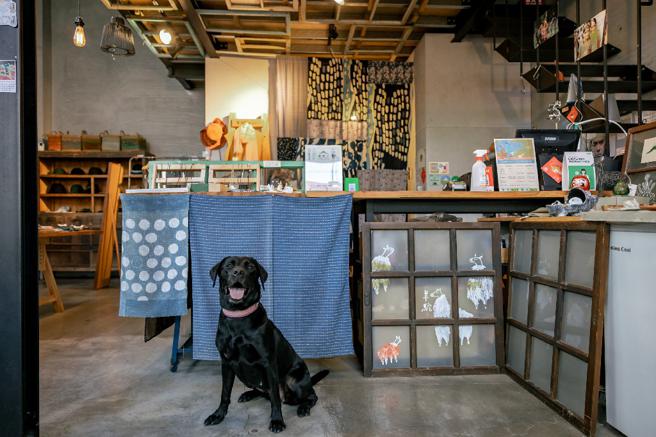 未來將以系統性結合店家或公私場所，讓市民可以自在地帶著家中毛孩到處活動（圖片來源：高雄市農業局提供）