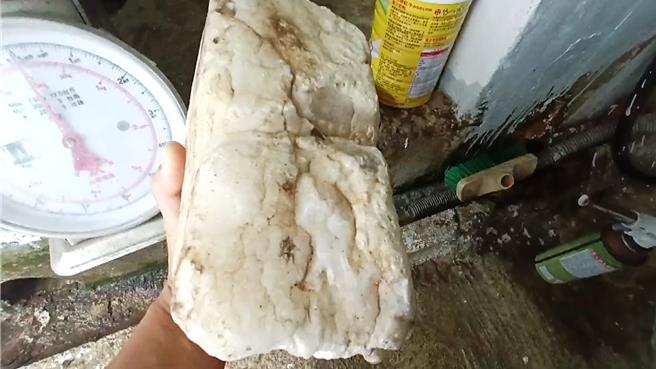 台东绿岛乡民林国文捡获疑似龙涎香的乳白色石块，重约700公克。（林国文提供／萧嘉蕙台东传真）