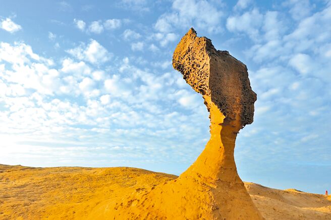 野柳地质公园今年获得绿色旅行标章Green Travel Seal（GTS）一星认证，「女王头」更是热门的拍照打卡景点。（交通部观光署北海岸及观音山国家风景区管理处提供／吕健豪新北传真）