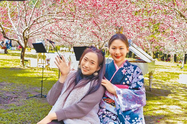 九族文化村樱花小仙子在20年后「回娘家」，在樱花季留下纪念影像。（九族文化村提供）