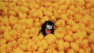 港快跑鴨！1.5萬隻小鴨「群聚」大港橋打造療癒漂漂河