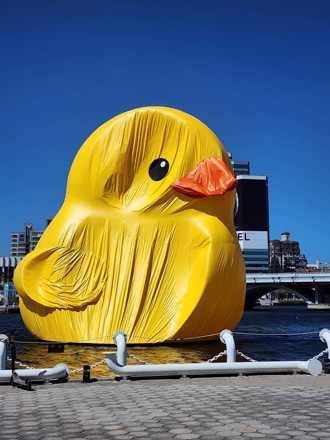 黃色小鴨消風畫面曝 高巿府揭「漏氣」原因