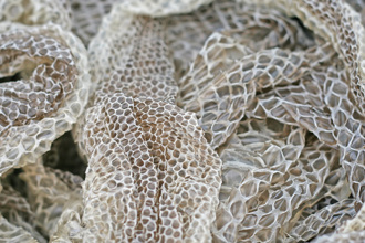 天花板掛滿蛇皮！他入住新家嚇傻 專家笑：絕對沒鼠患