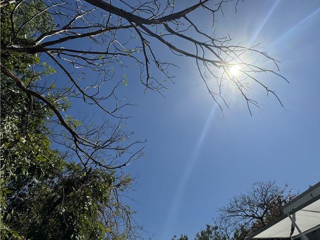 台南艳阳高照，民眾抱怨才2月却像夏天。（曹婷婷摄）