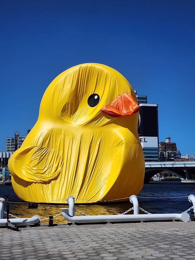 位于爱河湾的黄色小鸭，其中一只今早「漏气」了。（图／邱俊宪议员提供）