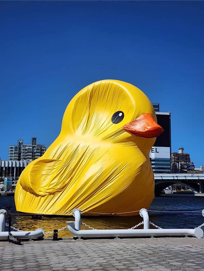 今（21）日疑似高雄瞬間風力過大，造成黃色小鴨位移，甚至出現「消風」狀況，引發民眾熱議。（邱俊憲提供）