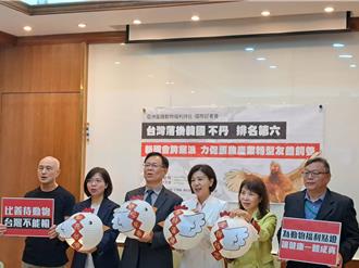 亞洲17國「蛋雞非籠飼政策」評比 台灣政策停滯未轉型