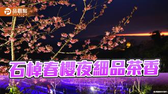 品观点｜石棹春樱夜细品茶香  樱之道粉墨登场