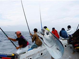 法国研究：全球减排50年 鲔鱼体内汞含量仍居高不下