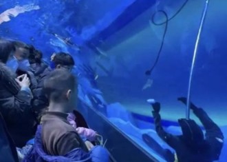 河南鄭州海洋館潛水員溺亡 現場目擊遊客：還以為是個假人