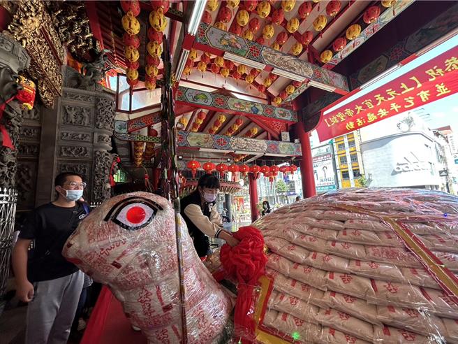 元宵节前夕屏东慈凤宫超大「米寿龟」开光，加码「寿龟下蛋」祈福超吸睛。（谢佳潾摄）