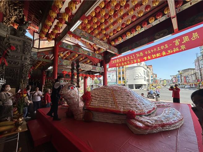 元宵节前夕屏东慈凤宫超大「米寿龟」开光，加码「寿龟下蛋」祈福超吸睛。（谢佳潾摄）