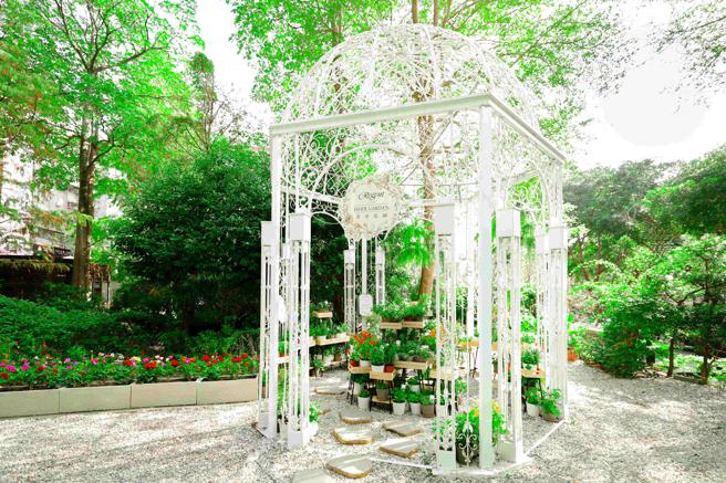 台北晶華酒店在餐廳後花園打造一座可供主廚摘取多種食用香草入饌的「香草花園」。（台北晶華酒店提供）