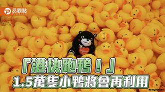品觀點｜1.5萬小鴨賽後游向何方？ 高市青年局：會撈上岸再利用