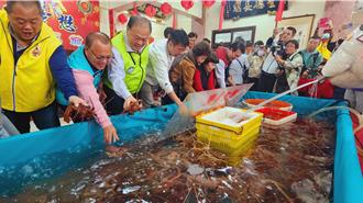 澎湖「西乞龜」開跑  興仁懋靈殿乞龍蝦2聖筊就帶走