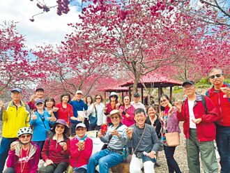 日月潭「櫻花騎跡」 遊祕境抽大獎