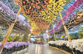 國際、世界蘭花聯展在台南 商機破百億