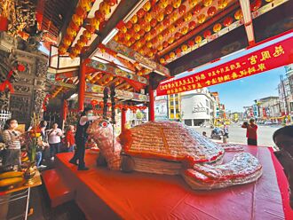 屏東慈鳳宮巨型米壽龜 祈福迎元宵