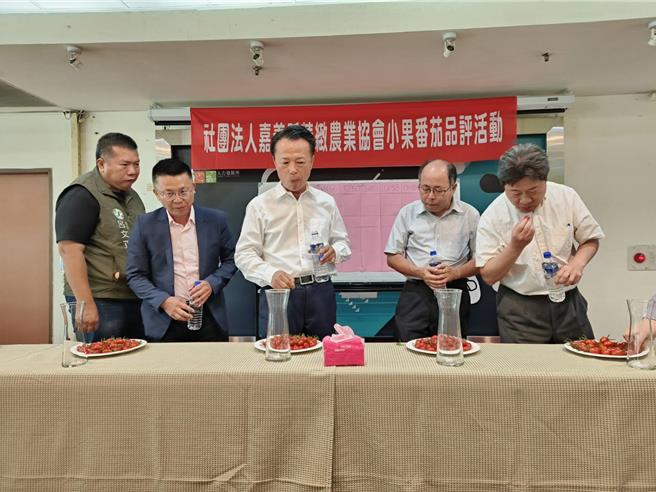 嘉義縣長翁章梁與專家試吃、評鑑小果番茄。（廖素慧攝）