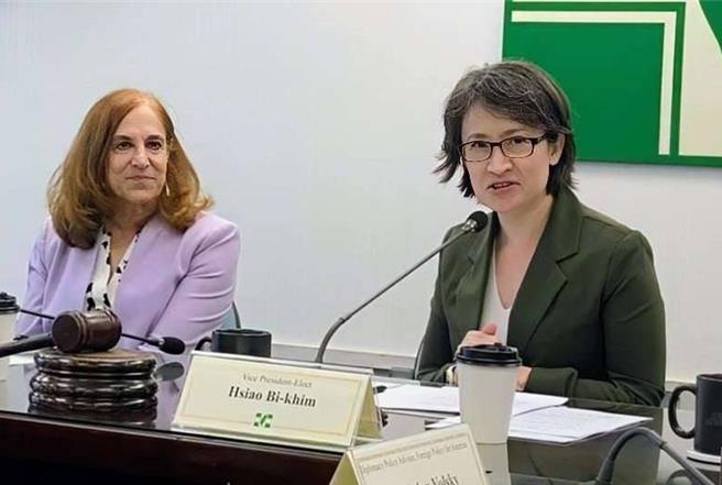 葛来仪拜会 萧美琴：台美双方共同追求的价值与利益，是双边关系重要的基石。（民进党提供）