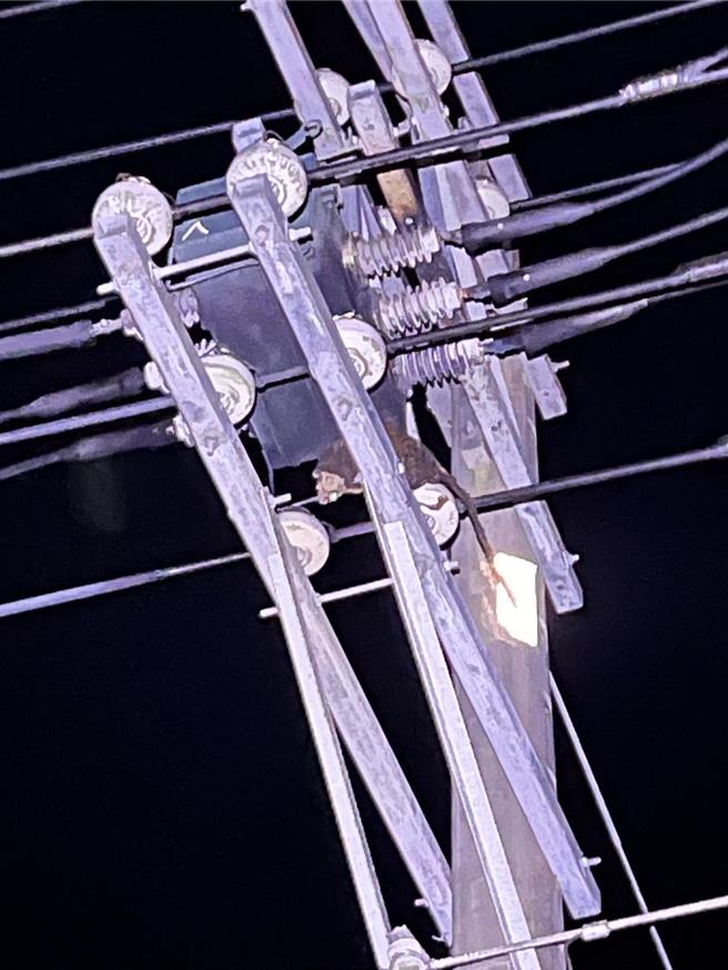 大梨山地区今晚9时许发生大停电，原来是飞鼠误触开关惹祸。（台电提供）