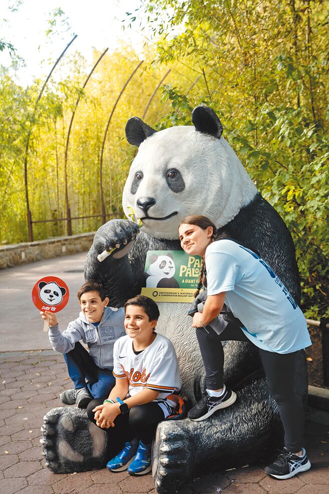 中国野生动物保护协会日前与美国圣地牙哥动物园签署大猫熊国际保护合作协定，并与美国华盛顿国家动物园磋商新一轮合作。港媒报导，今年夏天中方可望送往圣地牙哥动物园1对大猫熊。（新华社）