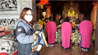 動保處元宵三峽廣行宮辦認養會 加碼贈送寵物平安燈