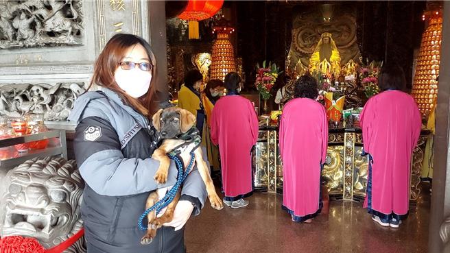 民眾認養小狗，新北市動保處免費贈予寵物平安燈。（新北市動保處提供）