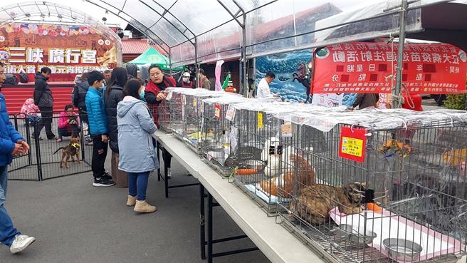 新北市動保處結合三峽廣行宮辦理認養會點平安燈。（新北市動保處提供）