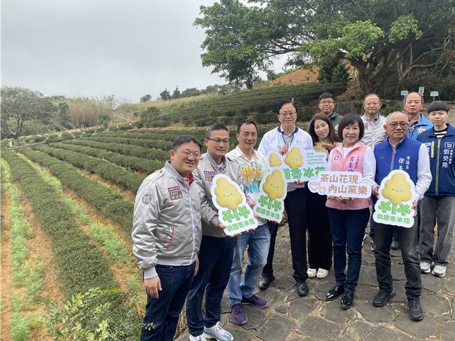 桃园市龙潭鲁冰花季24日开幕，今年以「茶山花现，内山窑乐」为主题办理系列活动。（蔡明亘摄）