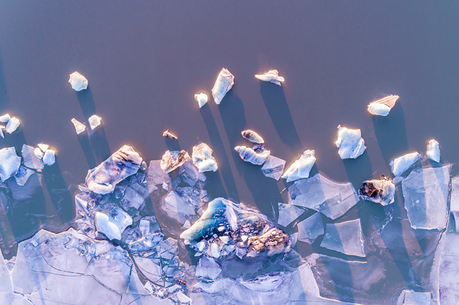 新疆低溫降至-52.3℃，導致湖裡成群的水鳥被活活凍死，冰封在湖面上。(圖:shutterstock/達志)