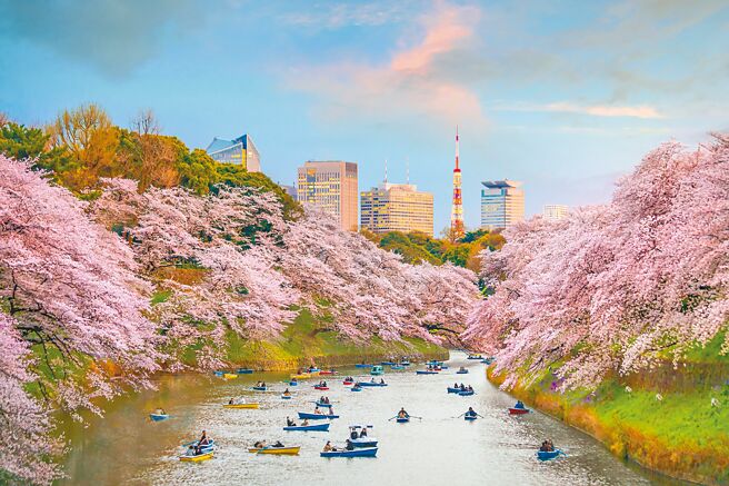 可乘坐花筏賞櫻的千鳥淵是東京熱門的賞櫻勝地。（易遊網提供）