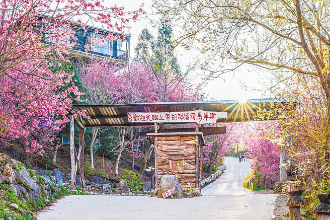 司馬庫斯有「最美上帝的部落」之稱。（易遊網提供）