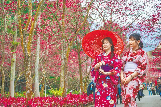 九族文化村推出「櫻花市集」提供日式浴衣變裝體驗。（九族文化村提供）