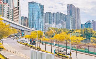 淡北道路計畫挨批擺爛 新北駁斥